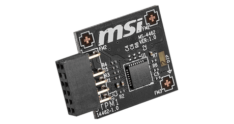 MSI ACC MODULE-NIC-MSI-TPM2.0-4462
