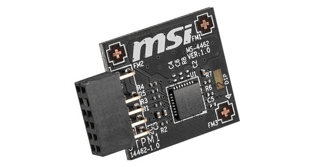 MSI ACC MODULE-NIC-MSI-TPM2.0-4462