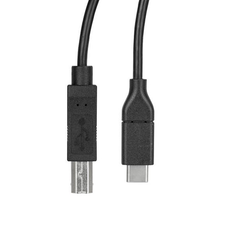 STARTECH USB C to USB B Printer Cable - 1.6 ft | 0.5m - USB C Printer Cable - USB C to USB B Cable - USB Type C to Type B (USB2CB50CM)