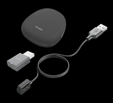 Yealink Portable Accessory Kit for WH62/66, Carry Case, Charging Cable, WDD60 DECT Dongle